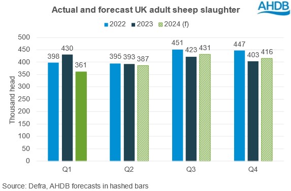 Bar chart showing estimated adult sheep kill for 2024